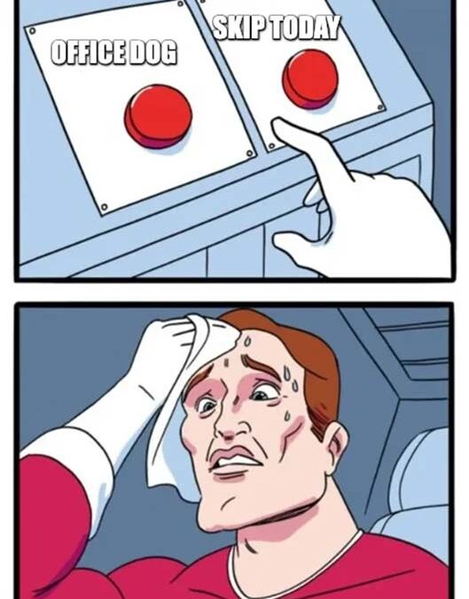 How do I know what to post on social media?
